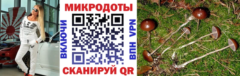 купить наркоту  Свирск  Псилоцибиновые грибы мухоморы 